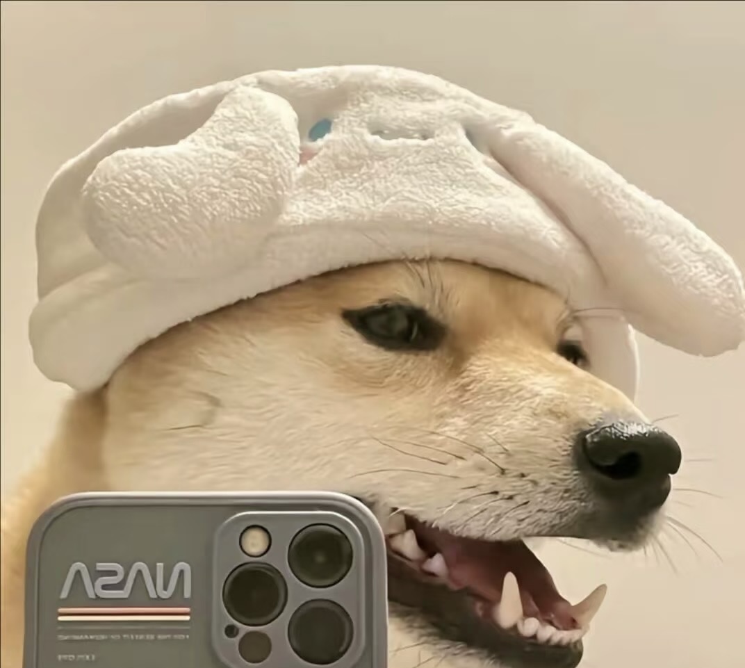 用户头像